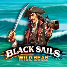 Official Slots logo: Black Sails Wild Seas by Infinity Dragon Studios at Catspins Casino